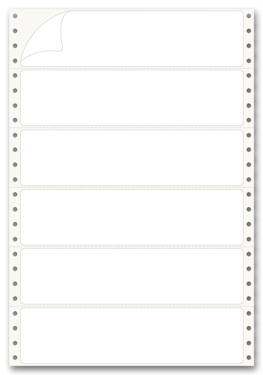 9521 Pinfed Typing Strip Labels 2" 7 x 5" QTY 1,000
