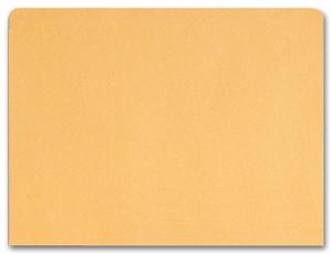 Organize with Eco-Friendly Efficiency: Kraft File Pocket Envelopes