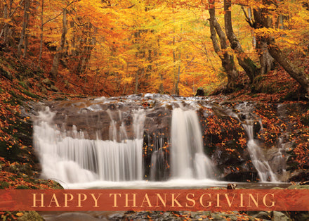 Capture Autumn's Beauty: Choose Our Shop for Scenic Thanksgiving Cards!