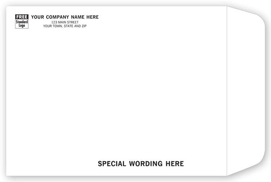 789 Tyvek Mailing Envelope 10 x 13" QTY 100