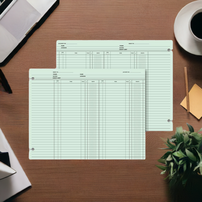 21119 Double Entry Ledger Sheets 9 1/4 x 11 7/8" QTY 100