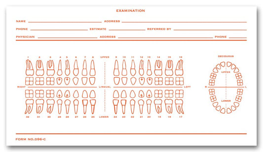 D86C Dental Exam Record Slips Numbered Teeth System C 3 1/2 x 6" QTY 500